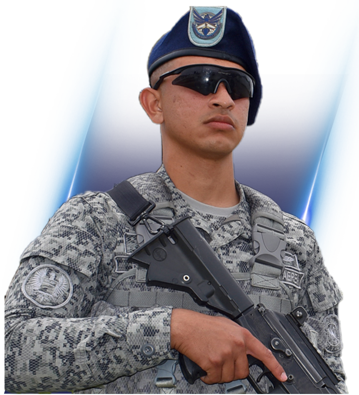 Soldado Profesional